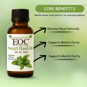 Aceite Esencial de Albahaca 100% Puro, Destilado al Vapor, Aceite de Ocimum Basilicum, Grado Cosmético y de Aromaterapia, Aceite Natural de Albahaca, Proveedor al por Mayor - Product Image 3