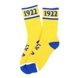 Chaussettes de sport unisexes Sigma Gamma Rho 1922 en coton, bleu roi et or, longueur mi-mollet, motif lettres grecques de la sororité, pour tenue décontractée et sportive - Product Image 1