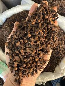 Vente en gros de pistaches-Pistaches crues de haute qualité Snack sain <span class=keywords><strong>Pistache</strong></span>/Graines en coque grillées/<span class=keywords><strong>Pistache</strong></span> - Product Image 5