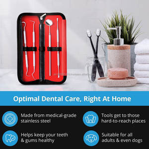 Kit d'instruments dentaires Miroir dentaire en acier inoxydable Ensemble de 3 détartreurs à vendre - Product Image 2