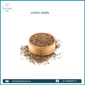 Graines de cumin biologiques de haute qualité granule naturel variété d'exportation fraîche épices d'assaisonnement sec herbes et épices simples transformées brutes - Product Image 2