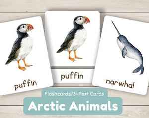 Boîtes d'emballage personnalisées de haute qualité pour cartes flash avec alphabet arabe imprimé, pour enfants, tout-petits, adultes, salle de classe, école à domicile, apprentissage - Product Image 3