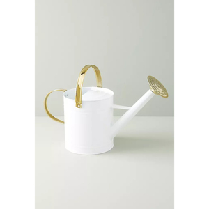 Arrosoir en acier galvanisé blanc au design élégant avec poignées en laiton doré, pot d'arrosage pour plantes d'intérieur à prix avantageux - Product Image 1