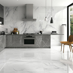 Premium Large Size Porcelain Tiles 120x120 cm Digital Glaze Modern Interior Accent Design with High Strength Surface - Product Image 4