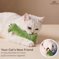 Jouets en peluche pour chat rembourrés de catnip, collection de personnages variés