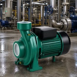 SnowFlake THF5B Centrifugal Pump 1 HP Single-Phase Electric Iron Water Pump Flange Connection 1 In Outlet Irrigation Agriculture - Product Image 2