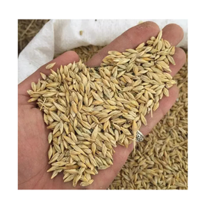 ORGE Grains entiers cultivés en Thaïlande, non-OGM, végétalien - Pour soupes, salades, pains, bières, etc. - Product Image 6