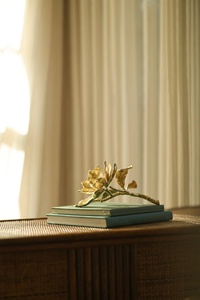 decor pieces luxury decorative bowl ginkgo gold sculpture decorative tray gold finish elegant centerpiece - Product Image 2