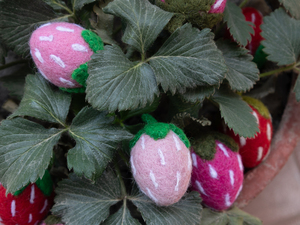 Fieltro de Lana Rojo Fresa y Rosa, Frutas de Fieltro Hechas a Mano, Suministros para Manualidades, Proyectos DIY, Comercio Justo, Ético, Venta al Por Mayor - Product Image 4