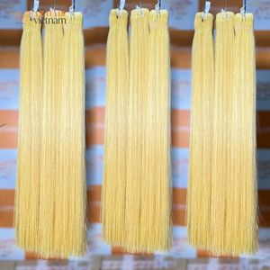 Extensions de cheveux vierges Remy vietnamiens AZ Hair en gros, lisses comme des baguettes, double trame, pointes épaisses, pleine longueur, lots de 100g - Product Image 5