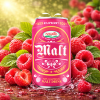 Nuevo Producto, MOQ Bajo, Cerveza Sin Alcohol NAWON MALT 330ml, Sabor Frambuesa, Botella, OEM, ODM, Venta al Por Mayor, Fábrica de Bebidas, GMP