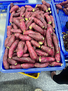 มันเทศสีม่วงแช่แข็งพรีเมียมจากเวียดนาม ผู้ผลิต OEM ราคาขายส่งที่แข่งขันได้สำหรับผู้นำเข้าทั่วโลก - Product Image 5