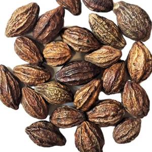 Fournisseur d'ingrédients botaniques, fruits de Terminalia Chebula, matière première naturelle, vente en gros - Product Image 1