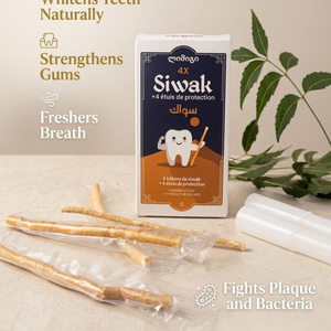 Premium Herbal Miswak Teeth Cleaning Sticks Natural Meswak Pack of Four with Plastic Storage Holder for Daily Oral Care - Product Image 3