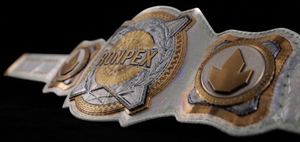 High Quality RONPEX Custom Championship Belt Brass & Leather Waterproof Unisex Martial Arts Training Equipment <b>28mm</b> Diameter - Product Image 2