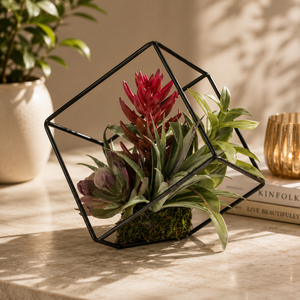 Maceta Colgante de Terrario en Oro Rosa, Moderna y Geométrica, para Suculentas, Decoración Elegante para el Hogar y la Oficina - Product Image 5