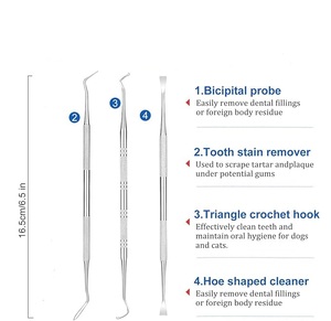 Dental <b>Tooth</b> Cleaning Scaler <b>Scraper</b> Double Ended Dentist Instrument Tartar Calculus Removal Oral Hygiene Tool ISO Approved - Product Image 6