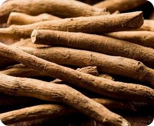 LotusHerb Miswak Stick, Cepillo de Dientes Orgánico Natural, Solución Blanqueadora, Higiene Bucal, Aliento Fresco, Eliminación de Placa, Salud de las Encías, Uso Diario - Product Image 3