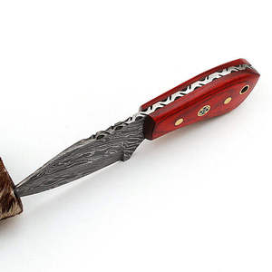 Cuchillo de Bolsillo de Supervivencia Hecho a Mano de Acero de Damasco de Grado Industrial ODM/OEM, Mango Personalizado, Hoja Fija, para Camping y Caza, 1 Año de Garantía - Product Image 2