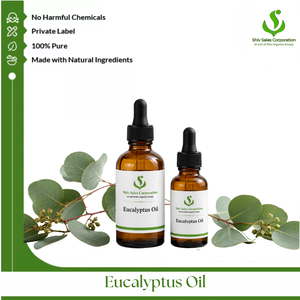 High Quality Eucalyptus Essential Oil for Global B2B Buyers Fragrance Houses Cosmetic Manufacturers and Personal Care Product - Product Image 1