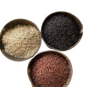 ข้าวดำ ข้าวแดง ข้าวหอม ข้าวดำม่วง ข้าวดำออร์แกนิคจากเวียดนาม คุณภาพดี - Product Image 1