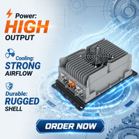 Lincore Promotion Spéciale Onduleur à Onde Sinusoïdale Pure 300W 12V 24V 48V 60V 72V DC vers AC 220V 110V Convertisseur Haute Puissance pour Batterie de Voiture