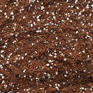 Coir Pith Pre-Blended Mix - Cocopeat Perlite Mix - Blend Bulk Supply Coco Peat Trade Buyers Indian Supplier - Product Image 2