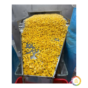 Cubos de Mango Congelados IQF, 100% Fruta Fresca Natural, Origen Vietnam, Ideal para Restaurantes, Catering y Preparación de Postres - Product Image 4