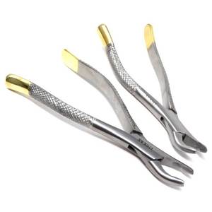2 Pcs Orthopedic Dental Extraction Forceps Surgical Instruments Gold Handle Stainless Steel Reusable Oral Surgery Tools - Product Image 1