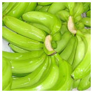 Plátano Cavendish verde fresco de alta calidad, el fruto más popular de Filipinas - Product Image 5