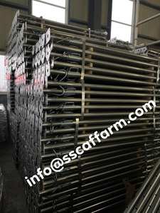 Apuntalamiento Accesorios ajustables Jack andamio prop Jack material galvanizado de acero para construcción Tuerca de copa fundida - Product Image 4