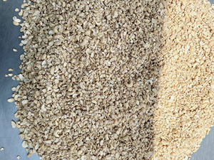 Vietnam Organic Roasted Cashew <b>Nuts</b> & <b>Kernels</b> ISO Certified Vacuum Packed Good Quality Wholesale for Export Phalco Brand Grade a - Product Image 5