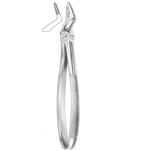 Pinzas de Extracción RESECTION FORCEPS (216 Witzel) (Modelo Inglés) |   Acero Inoxidable de Primera Calidad - Product Image 2