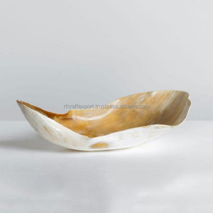 Cocina y vajilla de cuerno de vaca Real Natural Cubiertos hechos a mano y tazón de frutas secas Decoración para el hogar Cuerno de Búfalo de RF Crafts - Product Image 2