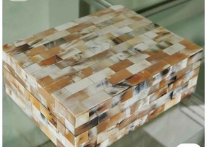 Boîte à bijoux rectangulaire en os, artisanale, écologique, avec couvercle, design moderne, conteneur de rangement à 1 niveau, capacité 0-1L - Product Image 2