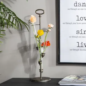 Modern Iron Coastal Tabletop <b>Vase</b> with Glass Tubes for Flowers Eco-Friendly Decorative Home Centerpiece - Product Image 1