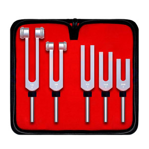 Ensemble de diapasons sensoriels non magnétiques pour thérapie et diagnostic, activateurs de fréquences C128 C256 C512 C1024 C2048, outils de test, 5 pièces - Product Image 1