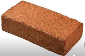 Substrat de coco écologique biodégradable léger pour jardinage, hydroponie et culture de plantes - Product Image 2