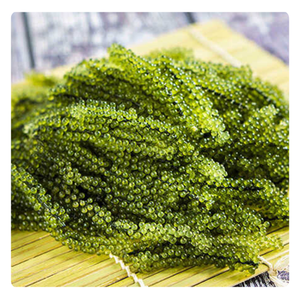 Uvas de Mar Deshidratadas, Tendencia 2026, Ingrediente Saludable para la Industria Alimentaria - Product Image 1