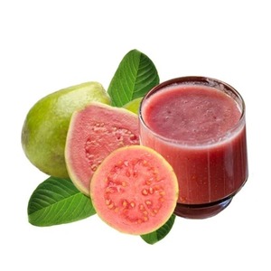 Puré de Guayaba Rosa Natural, Espeso y Saborizado, con Conservantes Añadidos, Textura Suave, Jugo de Frutas y Verduras en Lata - Product Image 1