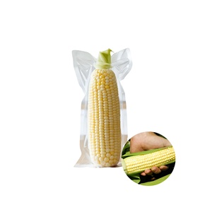 Fabricante de Vietnam suministro sabroso precio barato mejor calidad maíz pegajoso congelado en COB varios tamaños de bolsa - Product Image 1