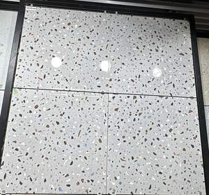 Azulejos de acabado mate para baño, centro comercial, vestíbulo, apartamento, sala de estar con hasta 9 mm de espesor, de proveedor directo de India - Product Image 5