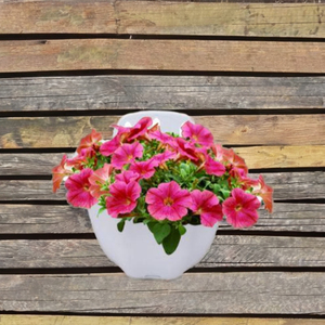 Grands ensembles de jardin décoratifs muraux Pots de fleurs et jardinières pour la décoration intérieure - Product Image 4