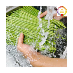 Biodegradable Grass <b>Straws</b> | Natural Organic Material | <b>Disposable</b> Eco Friendly | For Party Event Outdoor Use - Product Image 3
