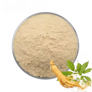 Extrait de ginseng Panax haute puissance 10:1 en poudre, ginseng Panax cultivé naturellement pour soutenir l'énergie, la concentration et le bien-être - Product Image 2