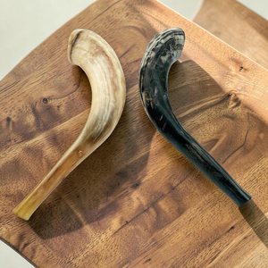 Shofar en corne de bélier, matériau organique écologique, poli à la main, décoration d'intérieur, artisanat Hs Husnain fabriqué en Inde - Product Image 5
