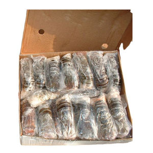 Langostas congeladas IQF para cocinas comerciales, procesadores de alimentos y compradores internacionales - Product Image 1