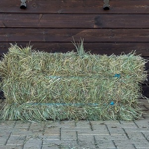 หญ้าอัลฟัลฟ่าสำหรับม้าและวัว ที่มีปริมาณไฟเบอร์และโปรตีนสูง คุณภาพอาหารสัตว์ธรรมชาติ เหมาะสำหรับใช้ในฟาร์ม - Product Image 4