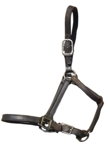 Cabestro de Cuero para Caballo con Corona Ajustable y Hebillas de Latón, Collarín Ecuestre Clásico para Trabajo en el Suelo y Equitación en Establos - Product Image 4