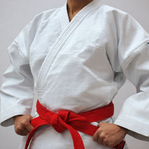 Traje de Karate para Hombre, de Alta Calidad, Bordado, Poliéster/Algodón, Trajes de Karate Profesionales - Product Image 4